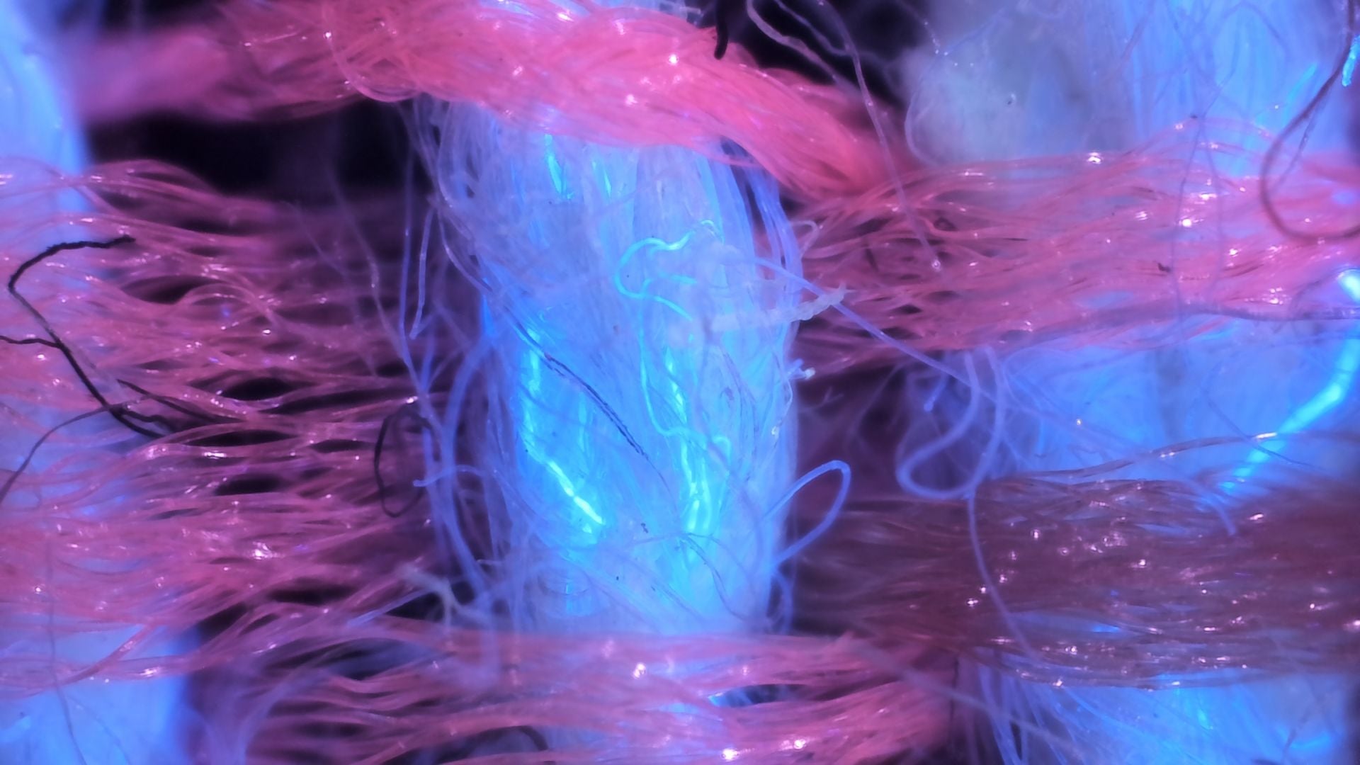 Thread fibers in ultraviolet light