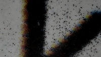 MiScope® Megapixel MP4K