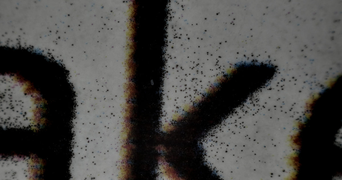 MiScope® Megapixel MP4K